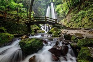 5 Tempat Wisata di Solo yang Instagramable dan Murah