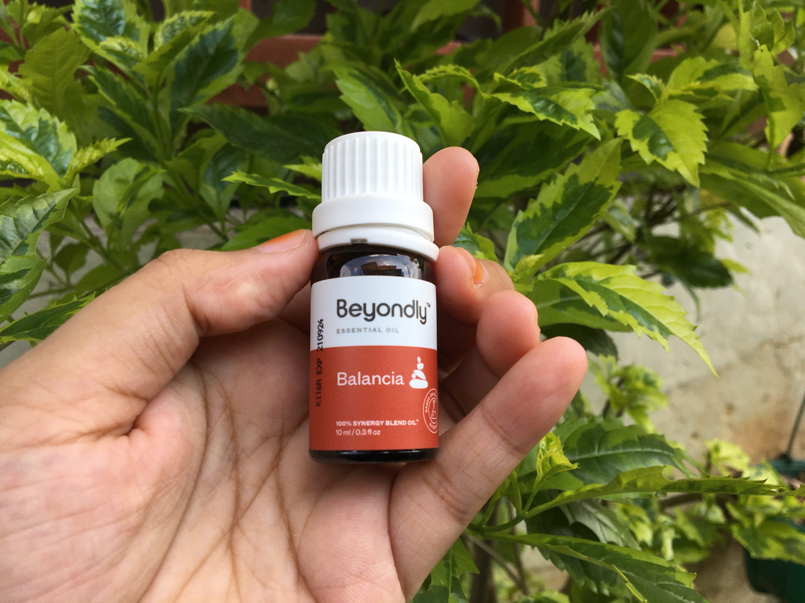 Review Beyondly Essential Oil | Wanginya Bikin Tenang dan Rileks 