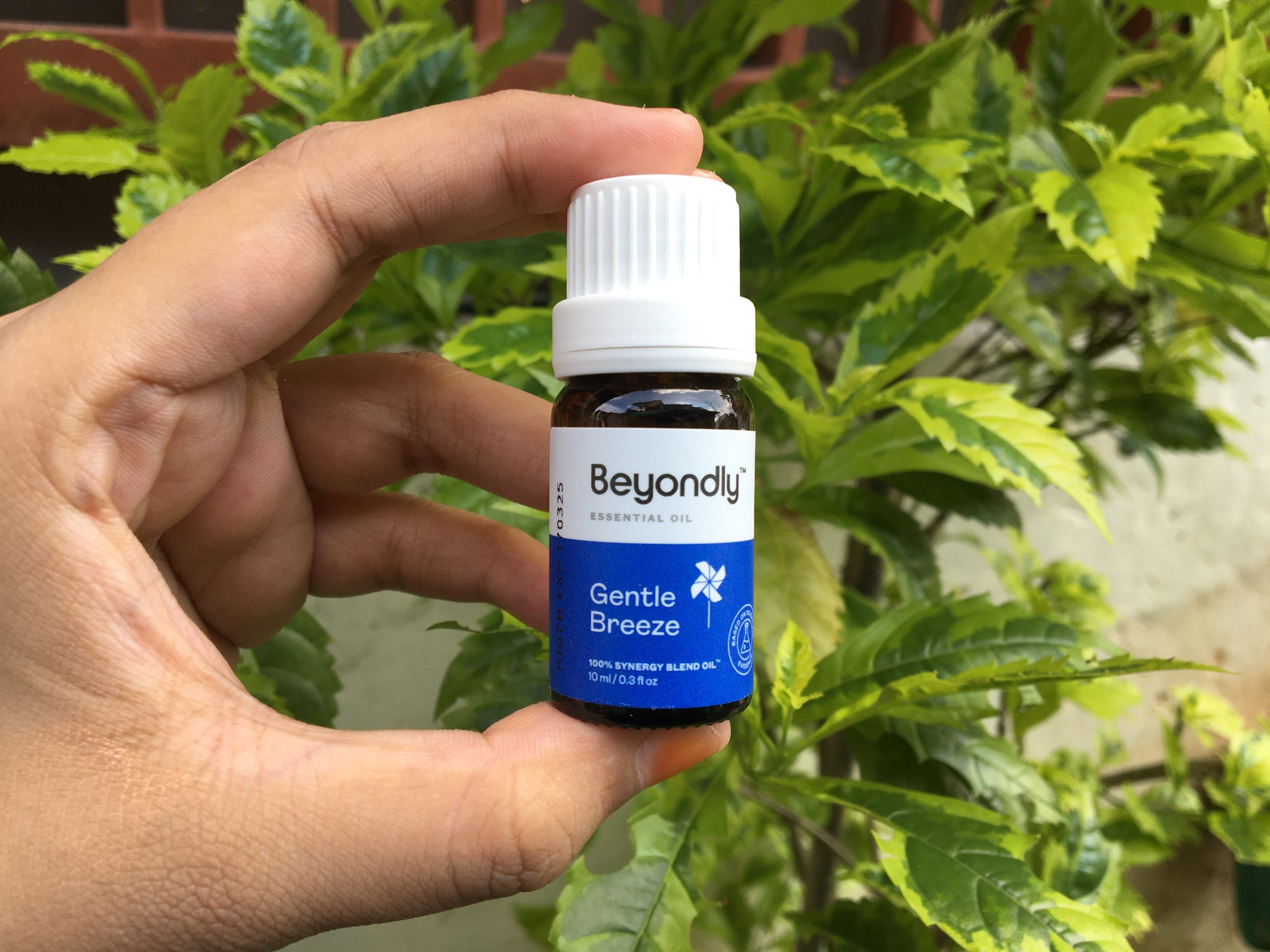 Review Beyondly Essential Oil | Wanginya Bikin Tenang dan Rileks 