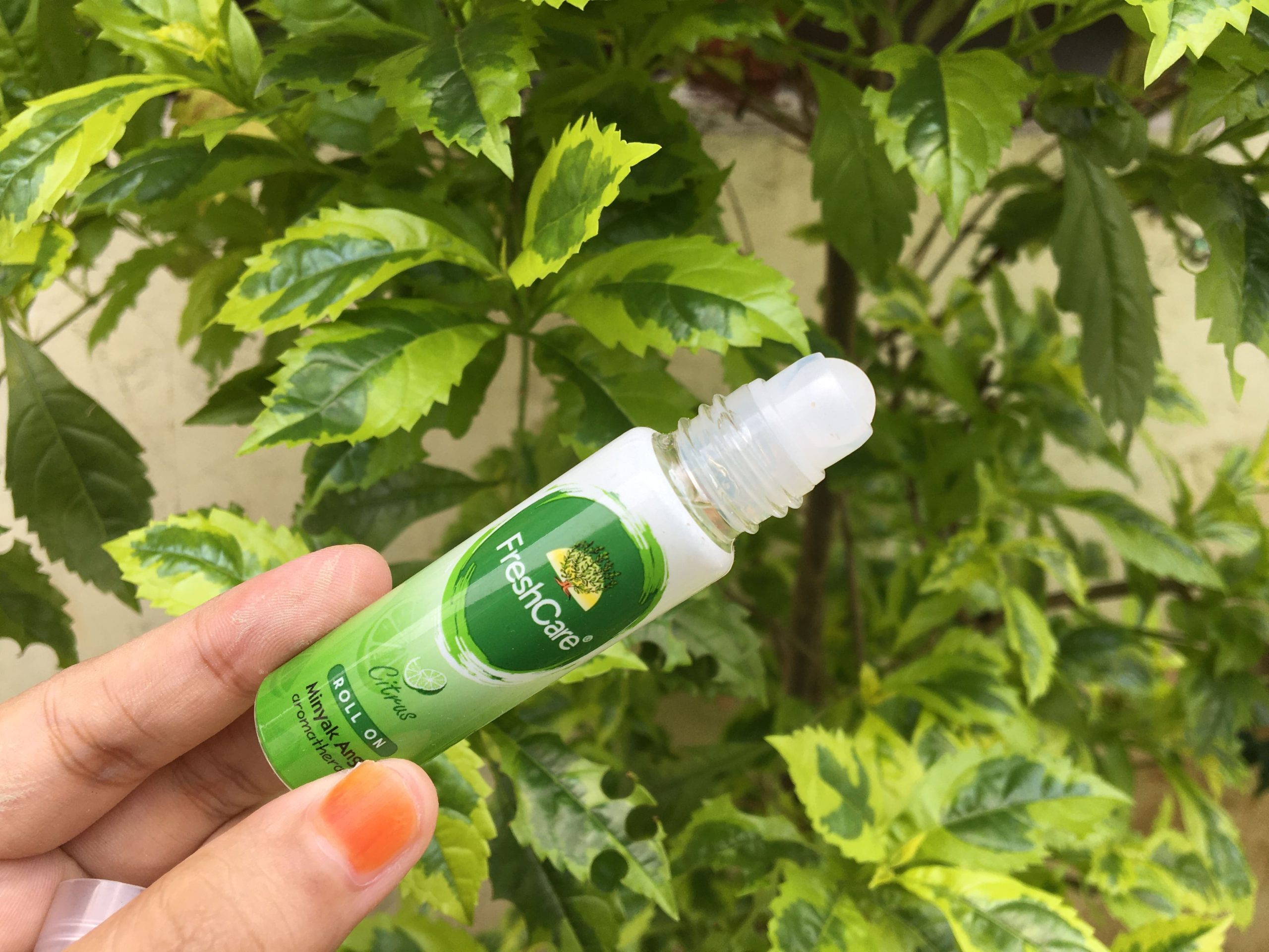 Review Fresh Care Roll On Minyak Angin Citrus 