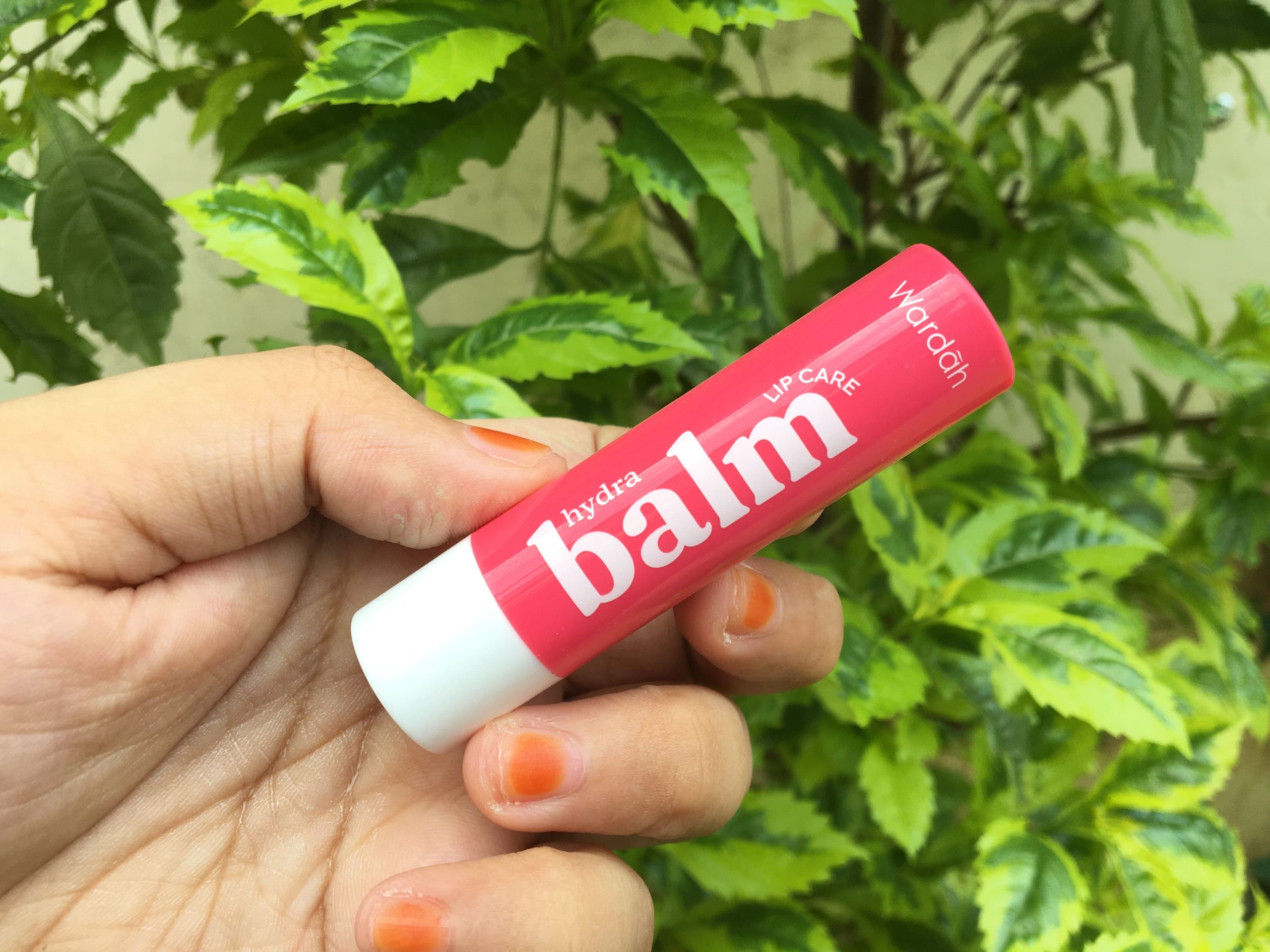 Review Wardah HydraBalm Lip Care Bikin Bibir Cantik Anti Kering 