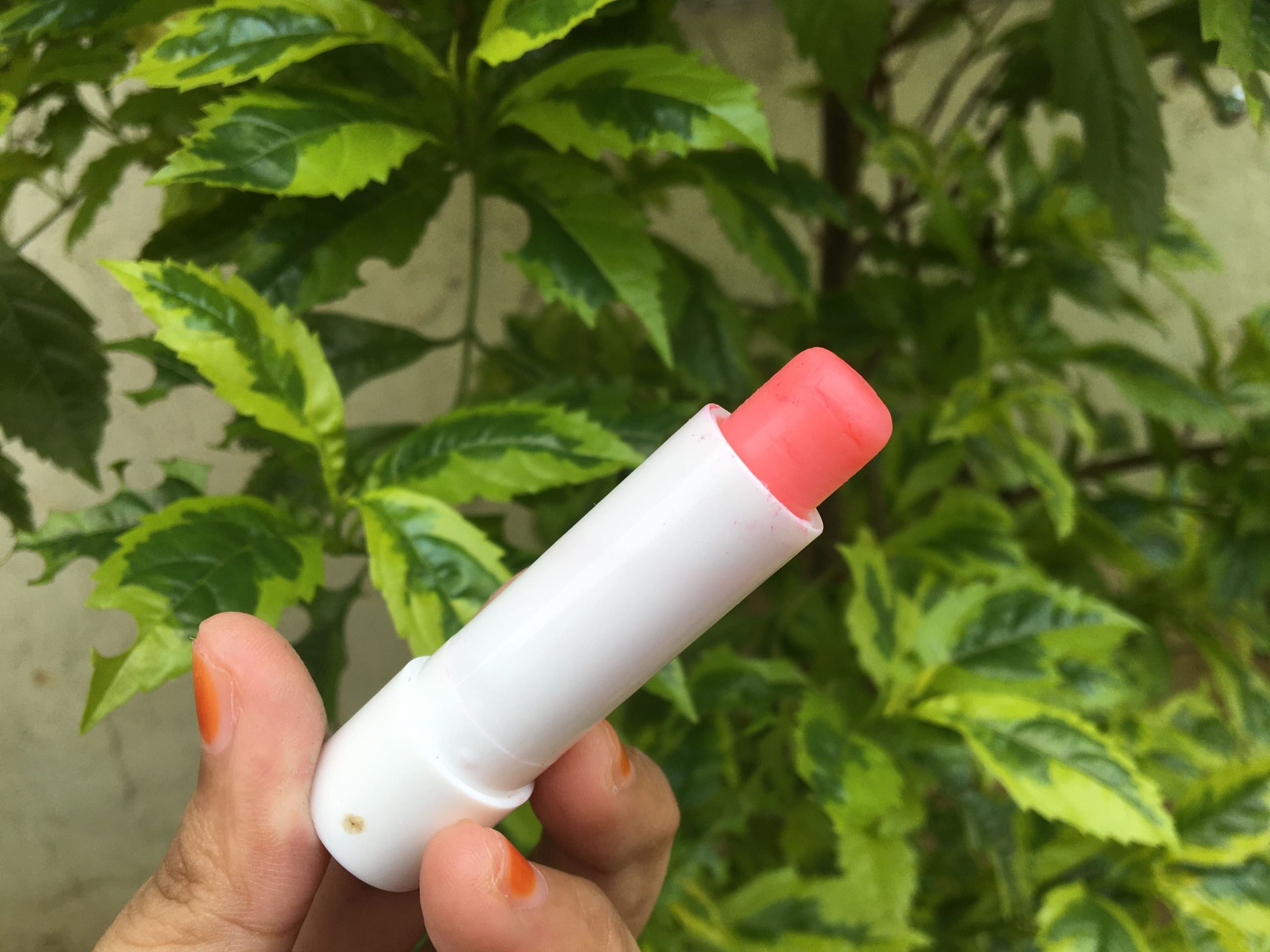 Review Wardah HydraBalm Lip Care Bikin Bibir Cantik Anti Kering 