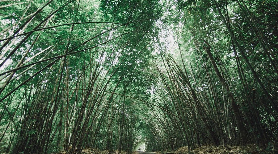 Rekomendasi 5 Tempat Wisata di Lumajang