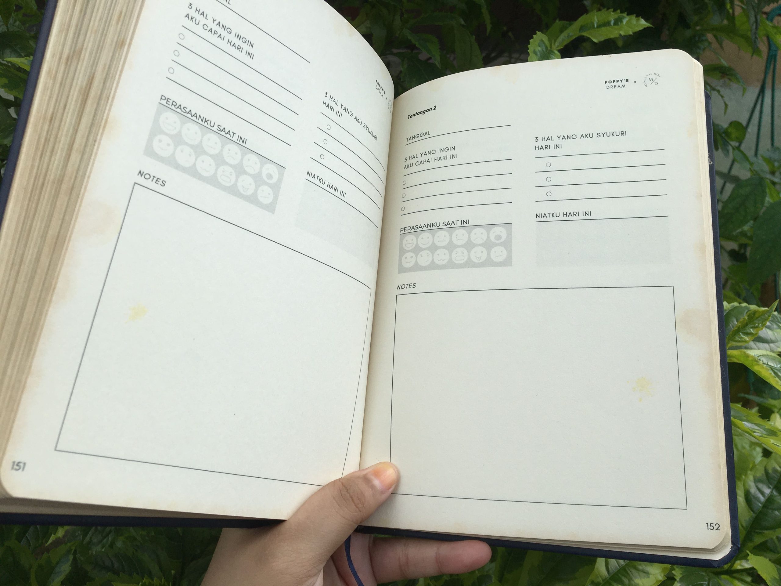 Review Buku The Book Of Dreams Versi Bahasa Indonesia