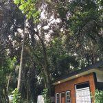 Berkunjung Ke Rene Cafe | Tempat Aesthaethic di Jakarta Timur