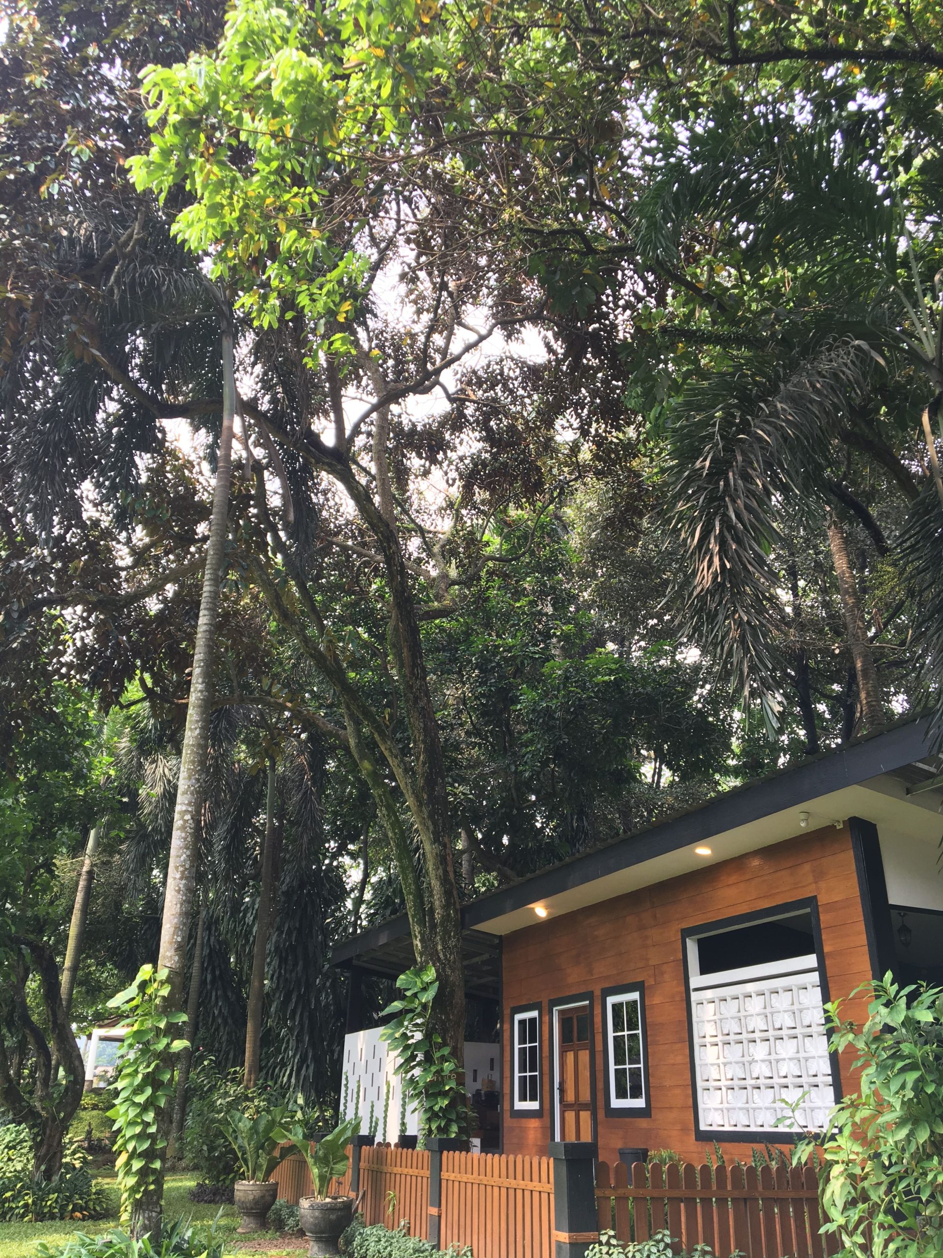 Berkunjung Ke Rene Cafe | Tempat Aesthaethic di Jakarta Timur