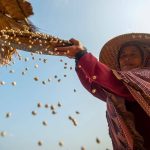 Kelompok Wanita Berdaya di Desa Wisata Hanjeli Sukabumi