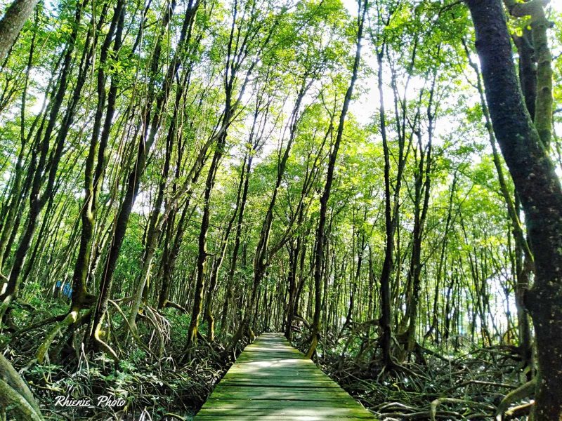 Liburan Ke Tarakan Ini 5 Tempat Wisata Terkenal dan Wajib Dikunjungi